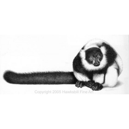 Ruffled Lemur by David Dancey-Wood