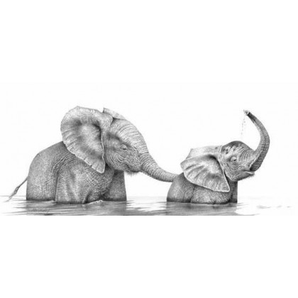 Bathtime by Peter Hildick