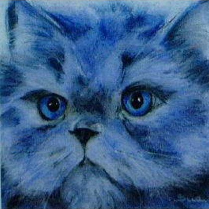 Blue Persian by Sue Hemming