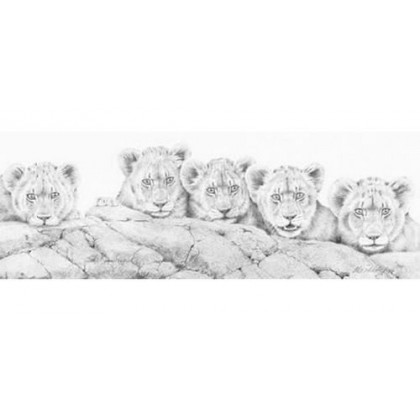 The Young Ones by Peter Hildick