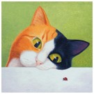 Cat with Ladybird - Greeting Card