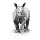 First Charge by David Dancey-Wood