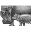 Admiration by David Dancey-Wood