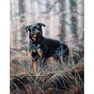 Loyalty by Paul Doyle