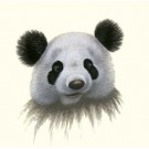 Cheers by Warwick Higgs