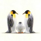 Cool by Warwick Higgs