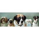 5 of the Best by Louis Wain