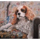 Sitting Pretty by Paul Doyle