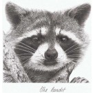 The Bandit by Peter Hildick