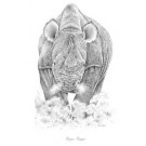 Temper Temper by Peter Hildick