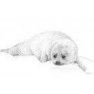 Innocence by Peter Hildick