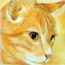 Ginger Tom by Sue Hemming