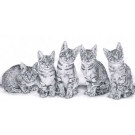 Ocicat Kittens by Sue Miles