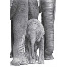 Safe and Secure by David Dancey-Wood