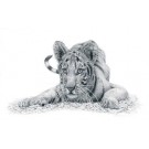 Playful by David Dancey-Wood