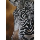 Out....Zebra by Lyndsey Selley