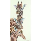 Don't Look Now But... by Lyndsey Selley