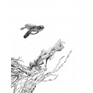 Brave New World by David Dancey-Wood