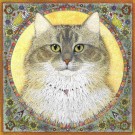 Maine Coon by Margaret Hobson