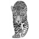 Mayan Monarch by David Dancey-Wood