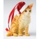 Ginger Tabby Sitting - Christmas Hanging Ornament by Country Artists - Enesco Ltd